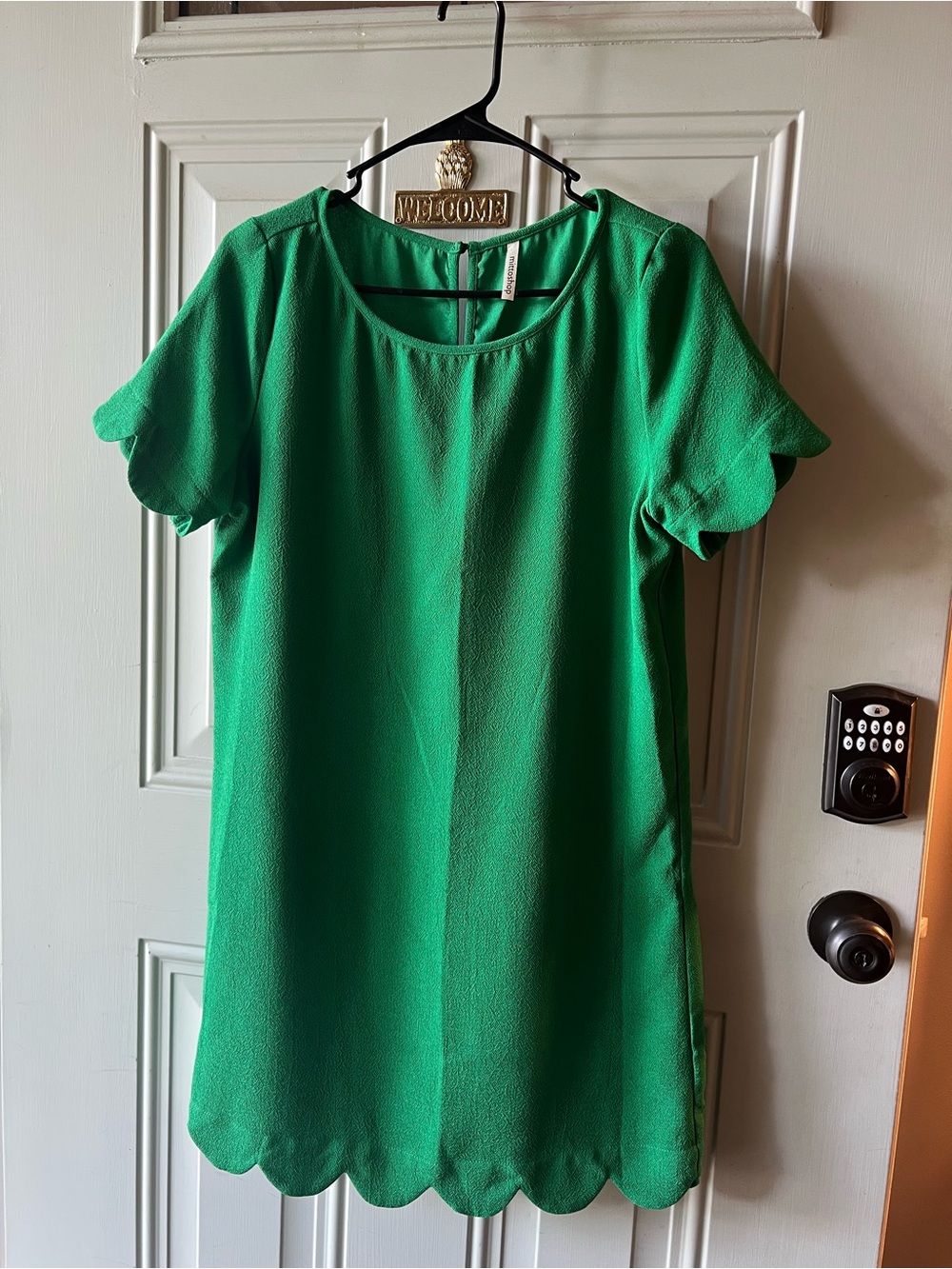 Women’s Scallop-Hem Short Sleeve Top - Green